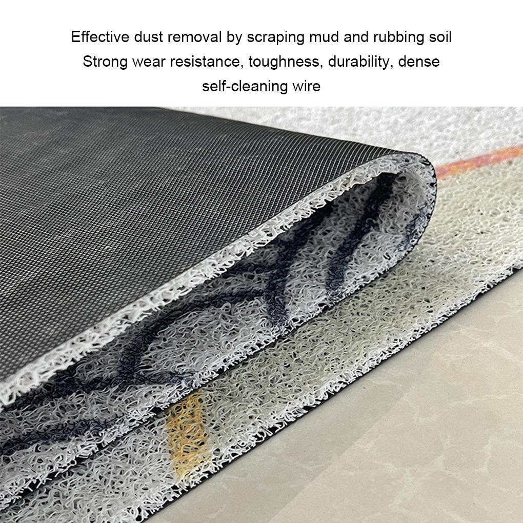 Mat With Strong Cleaning Power Water Absorbent And Anti-Slid Bottom Welcome Mat Entrance Door Mat