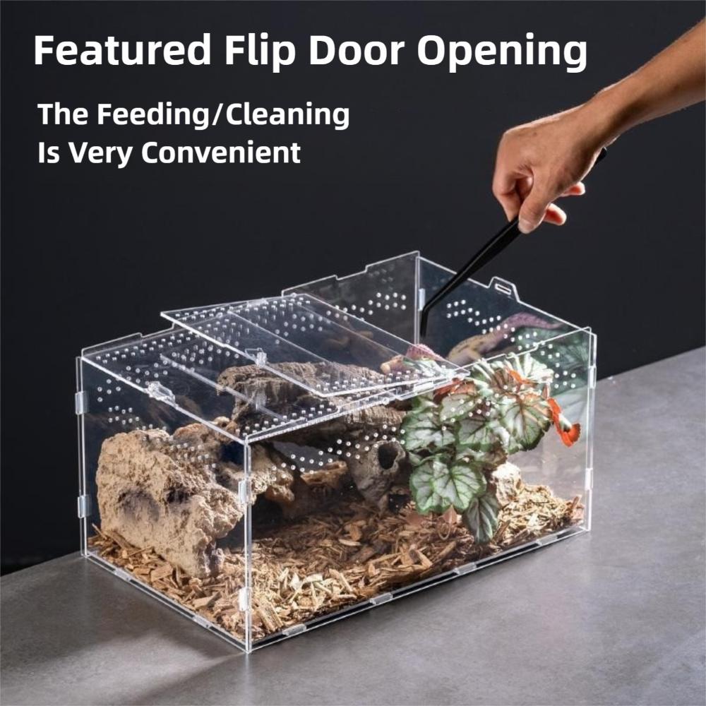 Anti-Escape Reptile Habitat Clear Spider Feeding Case Durable Lizard Breeding Box  for Chameleon