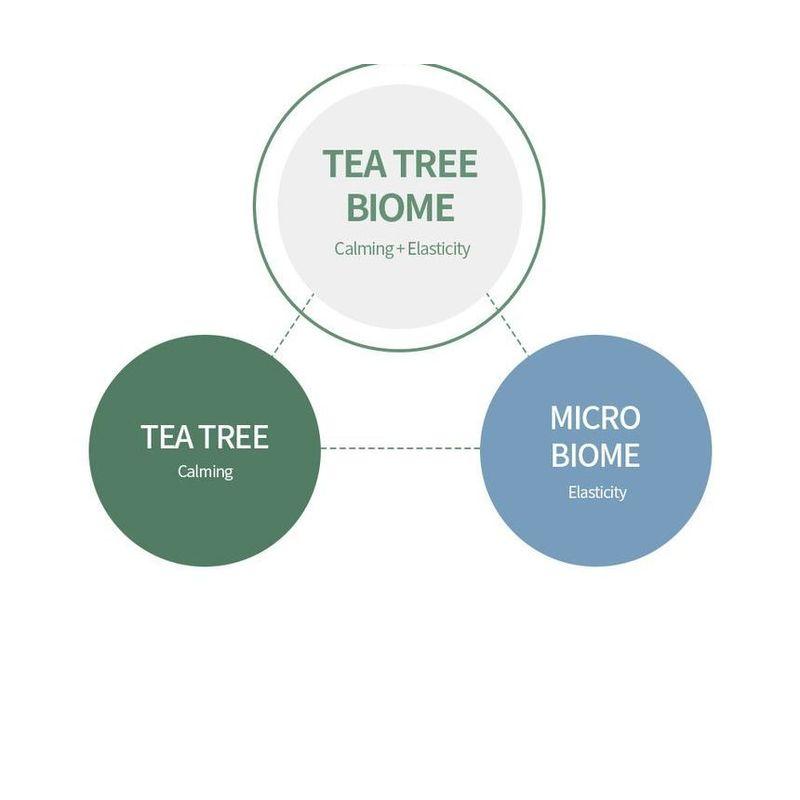 FARM STAY Tea Tree Biome Calming Ampoule