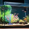 Aquarium Coral Decoration Luminous Silicone Gradient Color Artificial Simulated Soft Coral Statue Realistic Coral Aquarium Decor