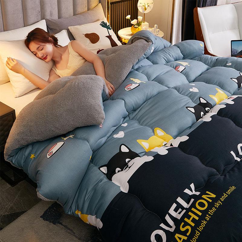 

Зимнее одеяло из овечьего бархата 5 кг, Односпальное, Двуспальное, Домашнее, Гостиничное, Наполнитель для одеяла 1,5 м, Утолщенное, 1,8 м, Роскошное одеяло, Супертеплое одеяло 220x240cm 5.0kg