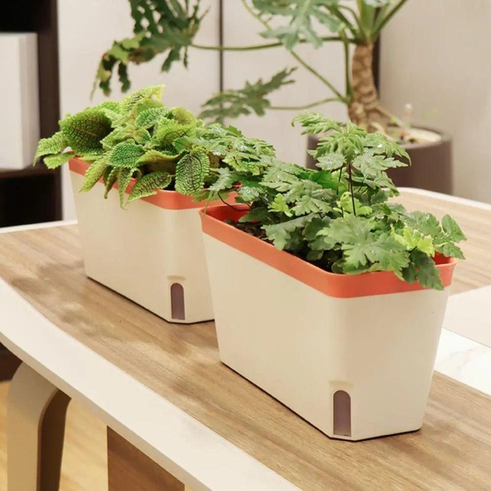 Double Layer Plant Pot Self Watering Vegetable Pot Modern Flower Box  Home
