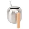 Watering Can Stainless Steel Long Spout Splash Proof with Wood Handle Plant Watering Can for