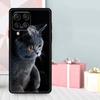 Schöne Graue Britisch Kurzhaar Katze Hülle Für Samsung Galaxy M35 M56 M12 M06 M32 M52 M55 M15 M11 M13 M14 M16 M36 M31 M53 M34 M54