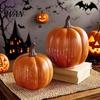 Home Charm Kürbisse Twinkle Light Sternennacht Kürbis Laterne Timer LED Leuchtlicht Funkelnde Herbst Halloween Dekorationen zur Dekoration