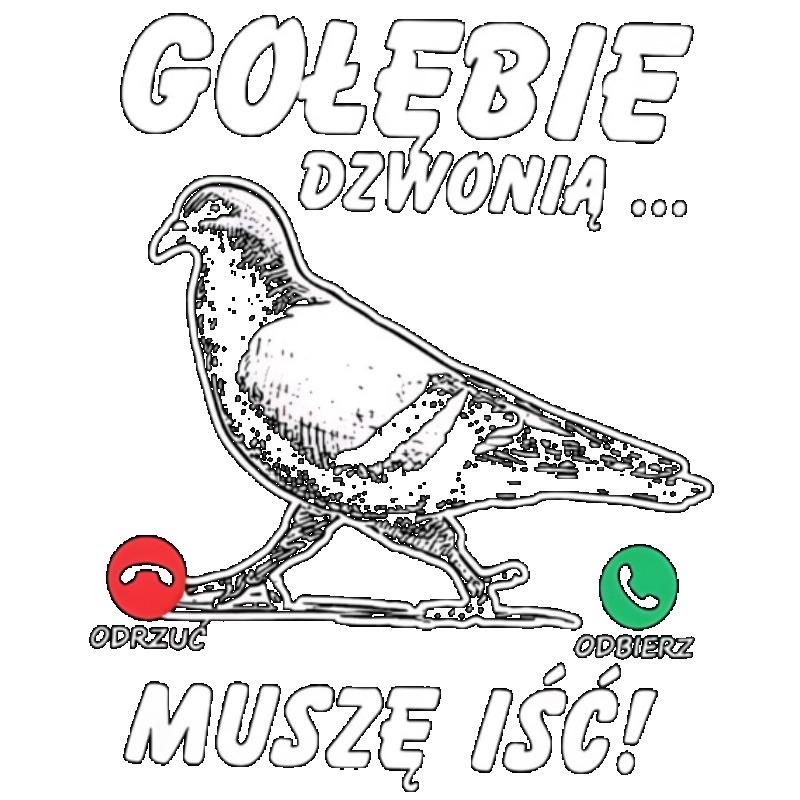 Black T Shirt with Pigeon and Text Design for Casual Wear