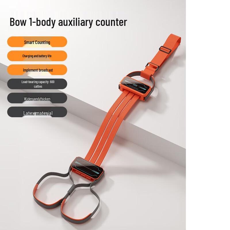 Longchan RMWANG Resistance Training Band with Counter