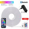 24V RGB 5m 10m 20m 30m LED Neon Strip Light Bluetooth APP 24key 44key Remote Control Music Sync Power Kit 60LED Waterproof Decor