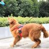 Personalized Reflective Dog Harness for Large Dogs