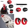 2x Rooster Collar, Chicken Collar Anti-Hook Noise Neckband