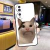 Beluga Cat Meme Face Smiling For Honor Magic 8 7 6 Pro Case For Honor 200 400 50 70 90 Lite X8c X8b X9a X9b X9c X9d Win RT