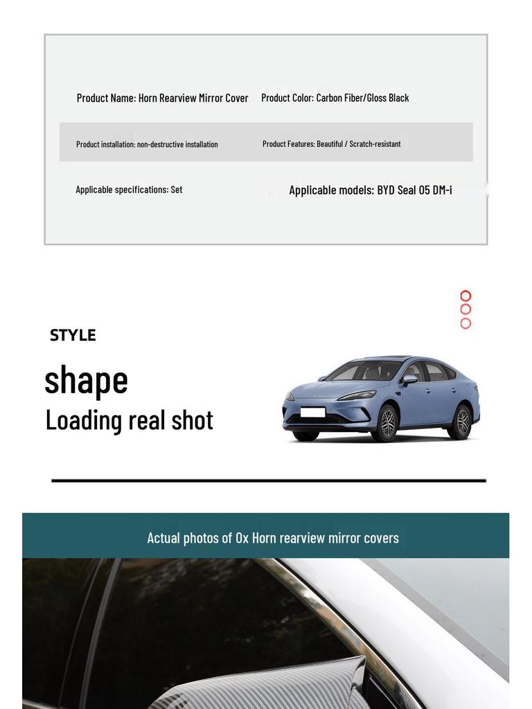 BYD Seal 05dmi Rearview Mirror Protective Cover