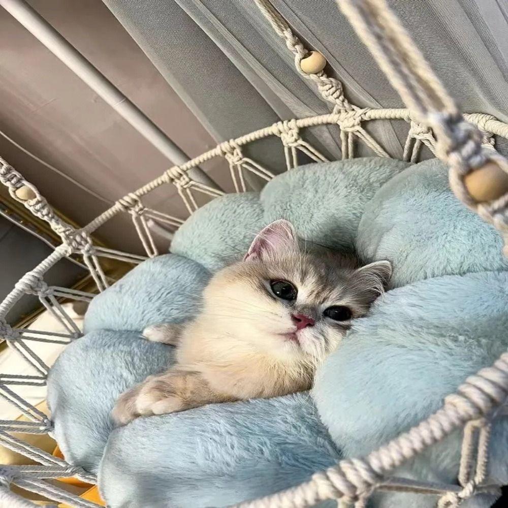 Langlebiges Haustier-Hänge-Schaukelbett Handgeflochtener Haustier-Hängekorb Katzenhängematte Kätzchen Welpe Sommer