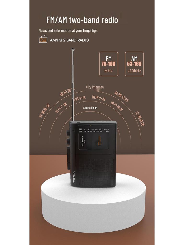 Panda 6501 Nostalgischer Kassettenrekorder und Radio-Recorder
