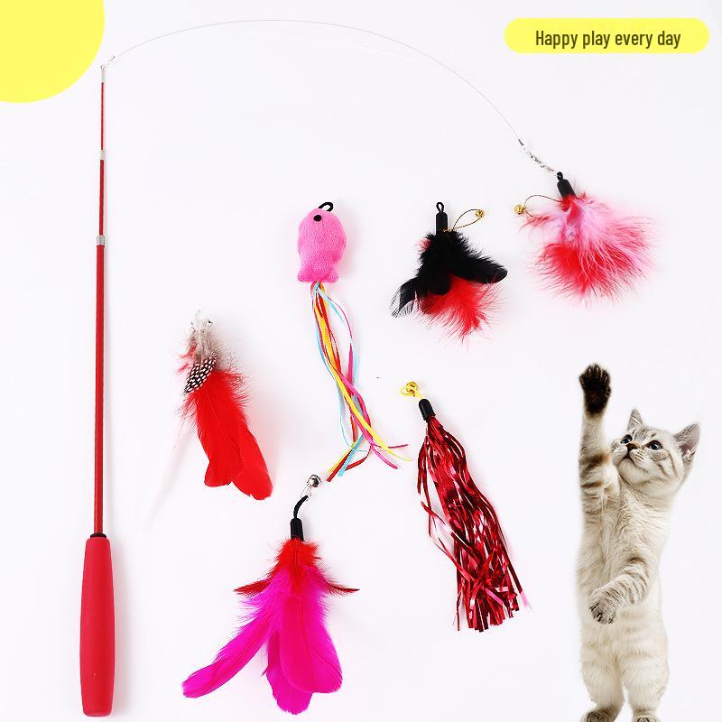 Steel Wire Feather & Fish Teaser Stick with Replacement Head for Cats