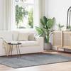 VidaXL Shaggy Carpet with Long Pile Silver Grey 160x230 Cm Polyester, Carpet, Bedroom Rug, Modern Rug, Living Room Rug, 4102844