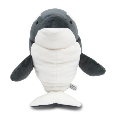 Morisaka Global Mochi Shachi Medium 12 X 15 X 20cm Killer Whale Plush Toy, Aquarium, Relaxing, Soft To the Touch, Cute Animal, Mochi Series, MOSC-0230