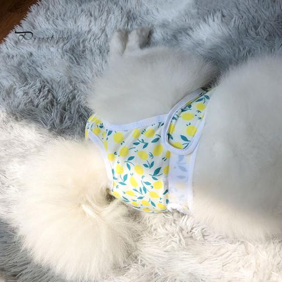 Pantaloni menstruali pentru animale de companie Chiloți sanitari ajustabili pentru câini Pantaloni fiziologici confortabili, rezistenti la scurgeri, pentru animale