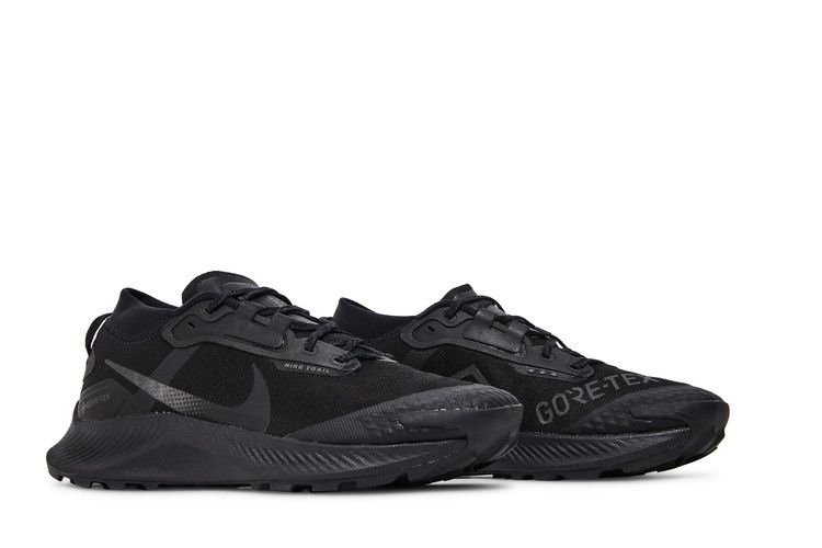 Nike Pegasus Trail 3 GTX 'Triple Black'
