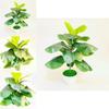 Ficus Pandurata Hance Artificial Plant With Plastic Leaves For Home Decor And Gift