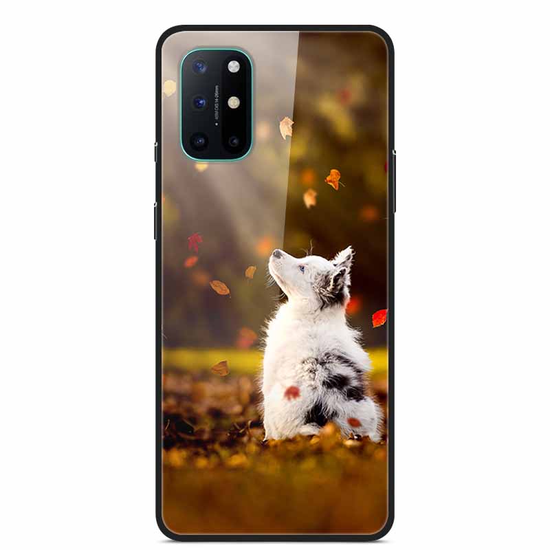 For OnePlus 8T Cases 8 Fashion Tempered Glass Hard Back Covers for Oneplus 8 Phone Cases Soft Bumper Fundas Oneplus8 8 T