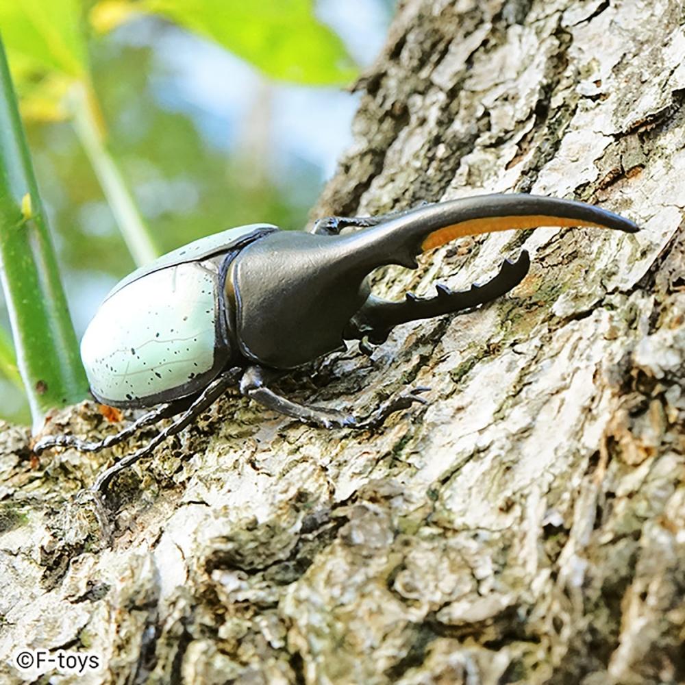 Null Insect Hunter Beetle Set 1box 10pcs