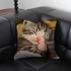 1pc Sleeping Kittens Pillow Case Square Bedroom Sofa Leisure Comfort Cushion Car Living Room Home Decoration