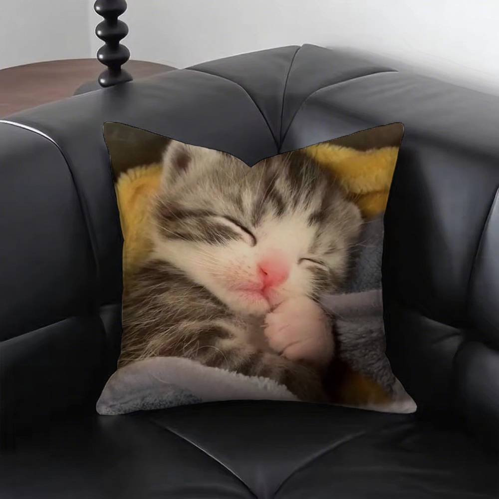 1pc Sleeping Kittens Pillow Case Square Bedroom Sofa Leisure Comfort Cushion Car Living Room Home Decoration