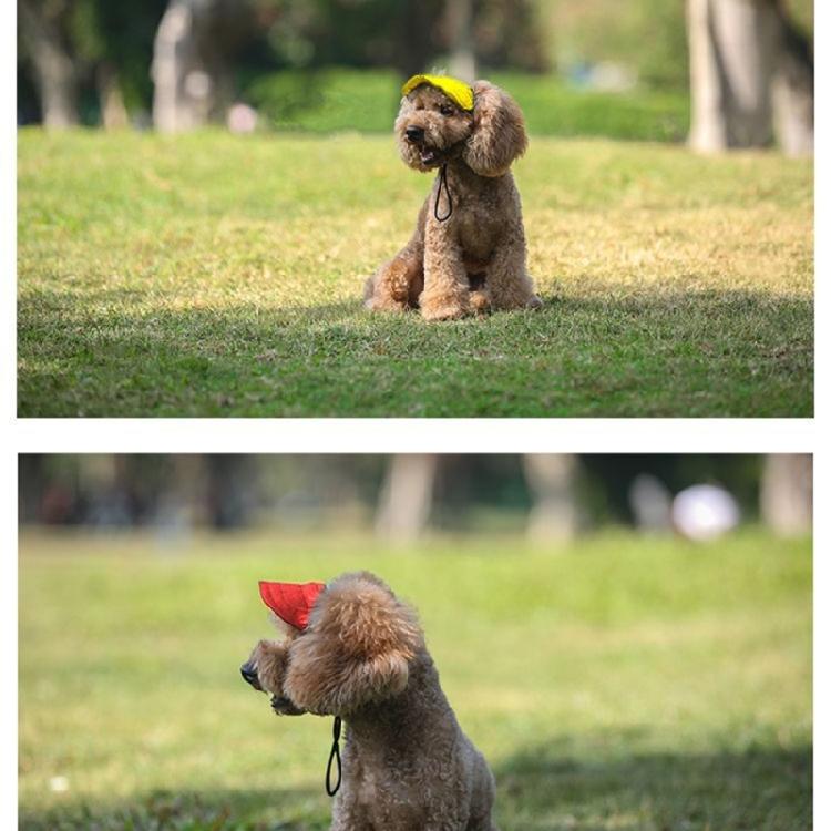 Fashion Pet Hat For Small to Large Dog Adjustable Cord Sunproof Baseball Hat for Walking Hiking Outdoor Sport Activity