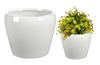 White Ceramic Decorative Flower Pot 18 X 15 Cm