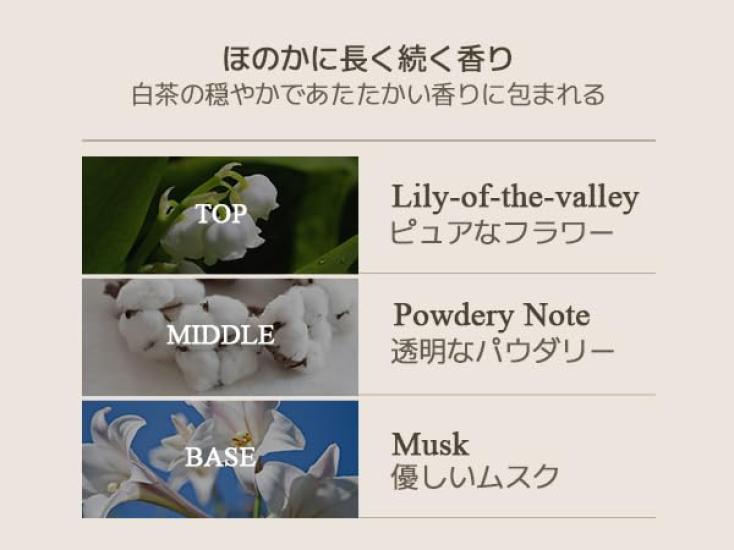 [Official] TEABLESS Lily Musk White Tea Perfume Body Wash 500g  Tea and Lily Musk Scent, Scrub Formula, Moisturizing, Hypoallergenic Body Soap,