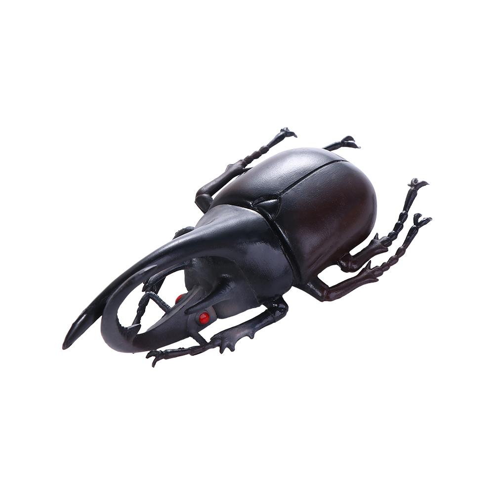 Fake Beetle Beetle Figures Simulation Animals Insect  Beetle  Special Lifelike Model Insect Model Simulation Beetle