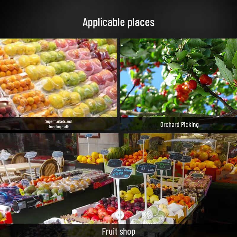 Disposable Boat-Shaped Fruit Tray