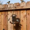 Solar Wrought Iron Bird Feeder with Courtyard Decoration Projection