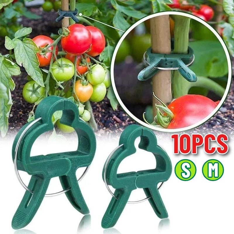 Reusable Garden Plant Clips Green Plastics Plant Fixing Clips for Climbing Plants Tomato Vine Support Tools Home Garden Supplies