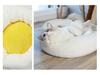 Creative Egg Yolk Pet Bed for Cats & Dogs - Round, Warm, All-Season Mat