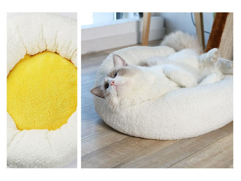 Creative Egg Yolk Pet Bed for Cats & Dogs - Round, Warm, All-Season Mat