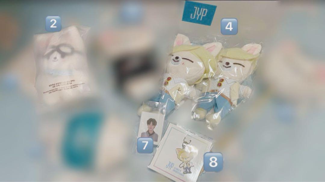 

[Б/У] Stray Kids I.N SKZOO FoxI.Ny продажа набором