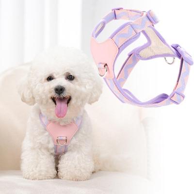 Köpek – Köpek Tasmaları ve Tasma Kayışları