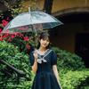 Mibodi Ultra-Light Transparent Straight Handle Umbrella