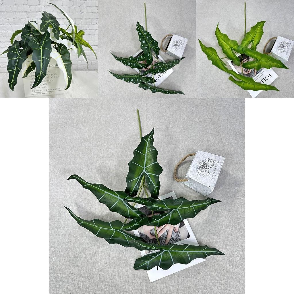 Künstliche grüne Pflanze Alocasia Odora mit lebensechtem Laub für Party- und Eventdekoration