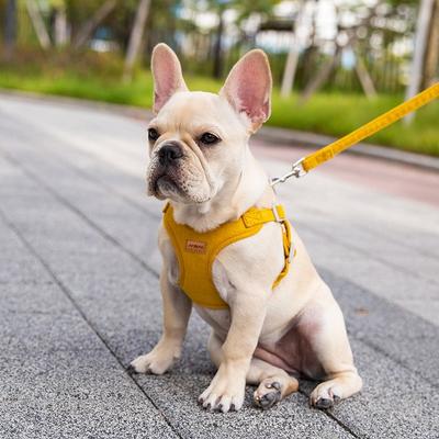 HundWelpe, X-Typ Wildleder kleiner Hund, mittelgroßer Hund Brustgeschirr Gurtzeug + Leine Set, gelb
