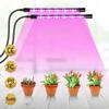 RnnTuu LED Grow Light USB Phyto Lamp Full Spectrum Fitolamp With Control Phytolamp For Plants Seedlings Flower Home Tent