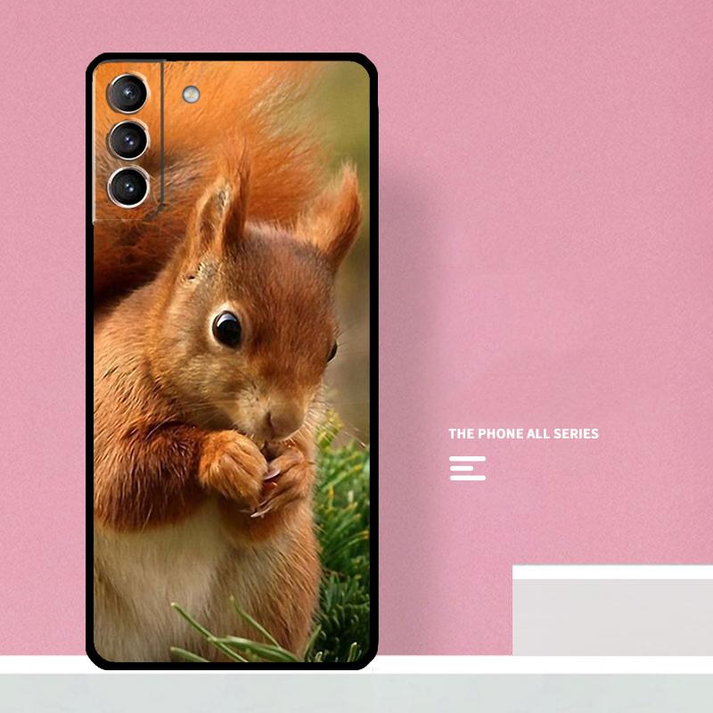 Squirrel Phone Case For Samsung Galaxy S25 S26 Ultra S20 S21 S22 S23 S24 Plus S10 S25 FE Cover Coque