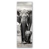 Canvas Print, Black and White Elephant