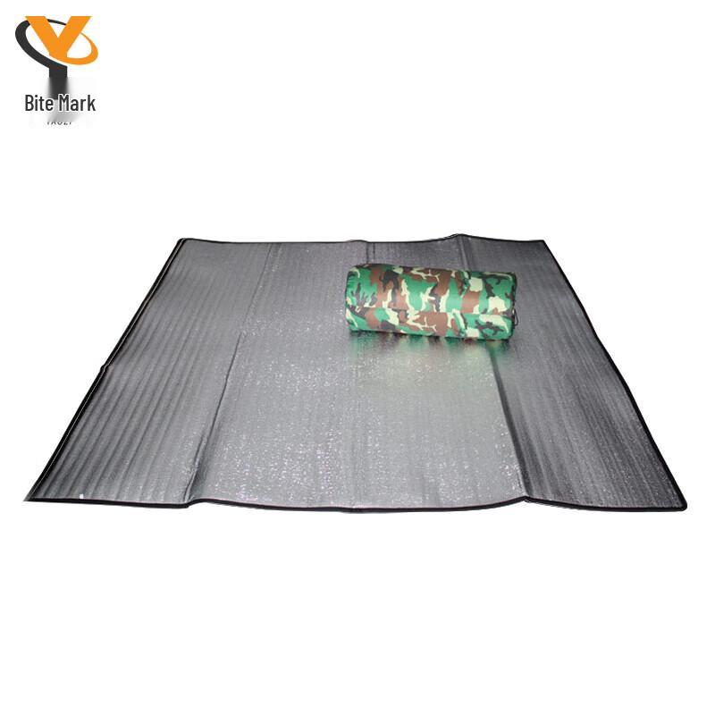 Outdoor Picnic Moisture-Proof Mat