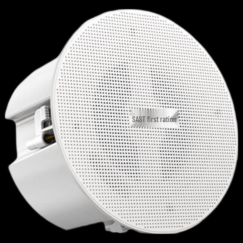 SAST D7 Wireless Bluetooth Ceiling Speaker CN plug (adapter included)