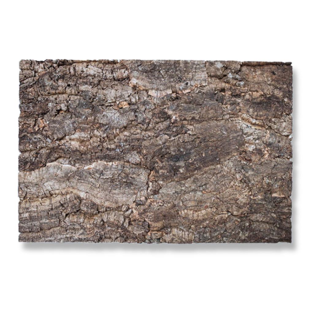 BioVirgin Cork Background Grey 30x30cm cork background for terrariums