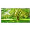 Green Tree Forest Painting Canvas Nature Landscape Posters and Prints Wall Art for Living Room HD Pictures Sunshine Home Decor