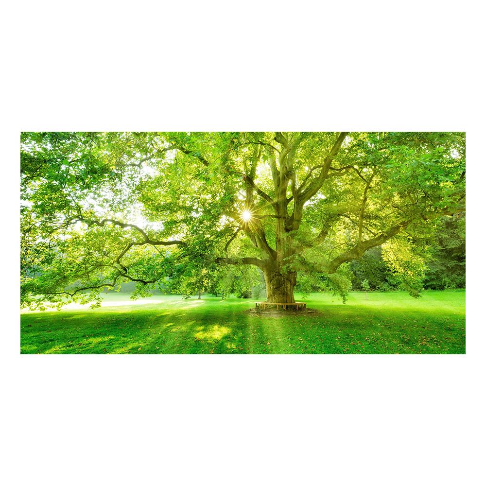Green Tree Forest Painting Canvas Nature Landscape Posters and Prints Wall Art for Living Room HD Pictures Sunshine Home Decor